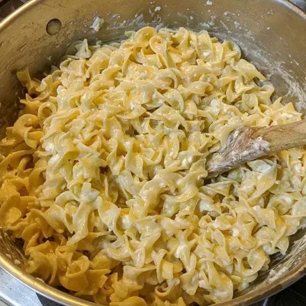 POLISH NOODLES (COTTAGE CHEESE AND NOODLES)